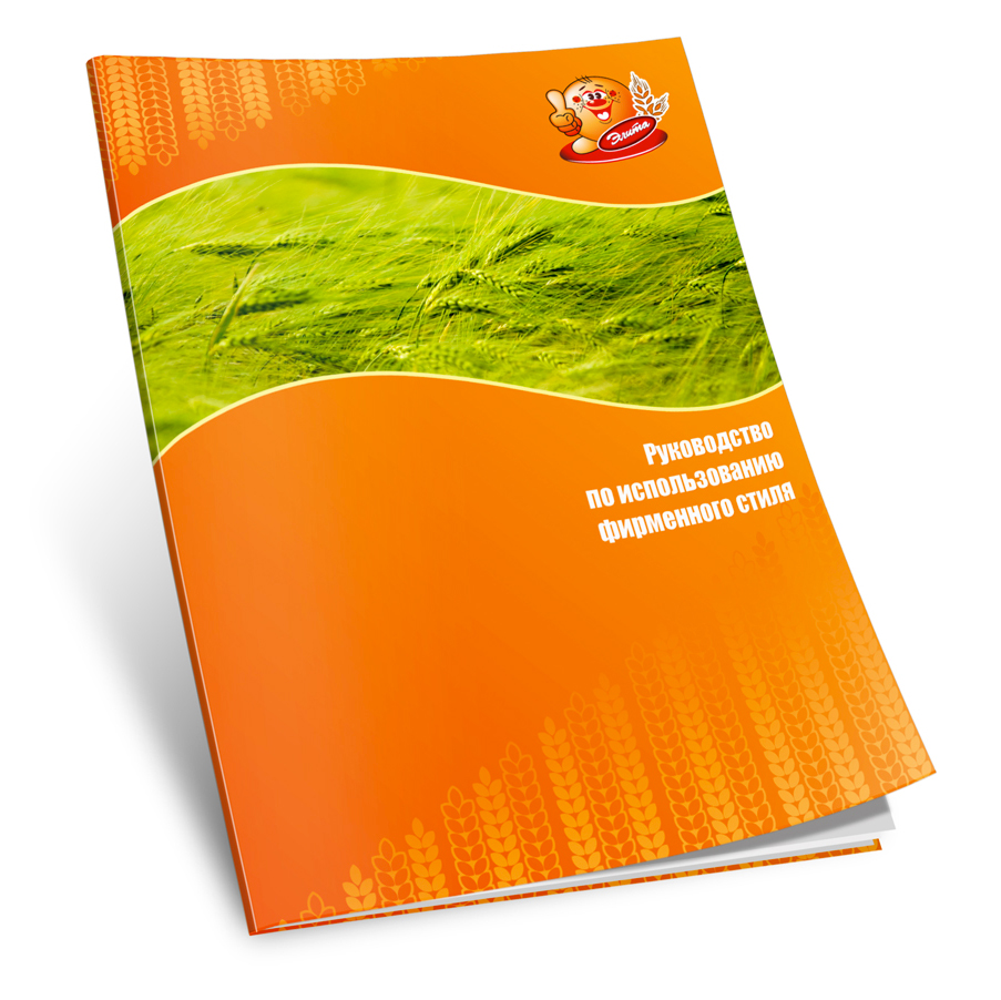 Разработка брендбука для компании Элита