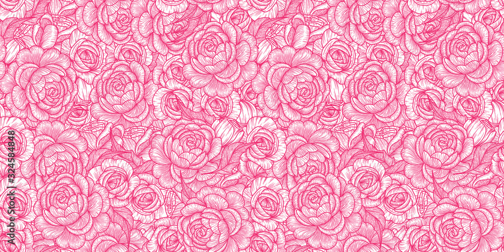 Roses illustration
