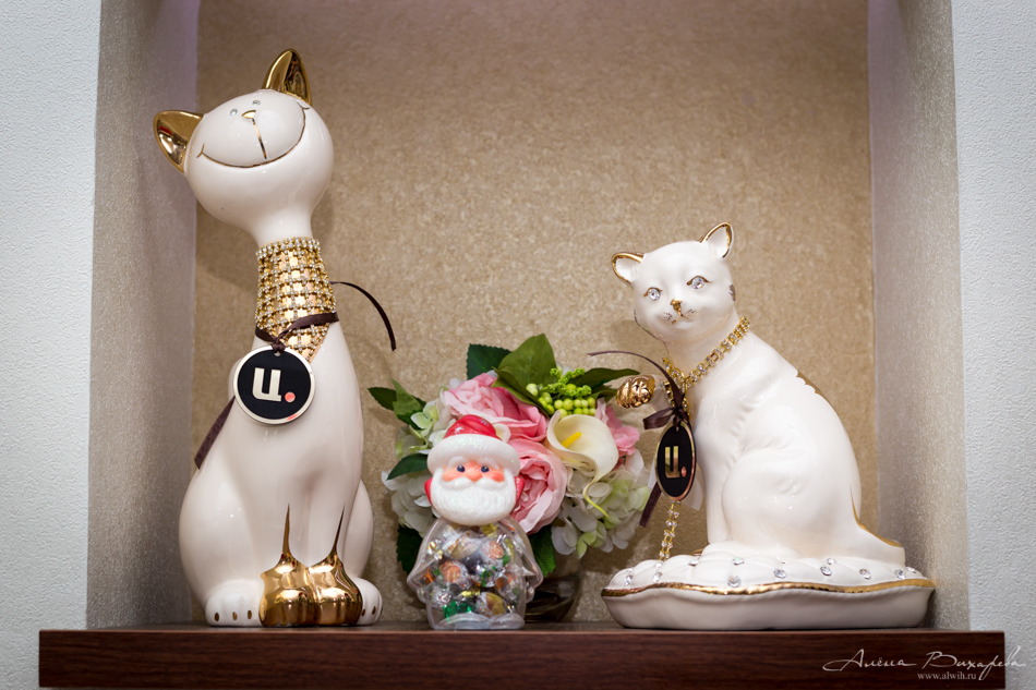 Интерьерная съёмка салона Цветочка. Фотограф Вихарева Алёна