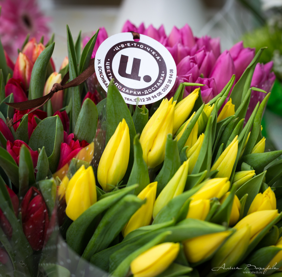 Интерьерная съёмка салона Цветочка. Фотограф Вихарева Алёна