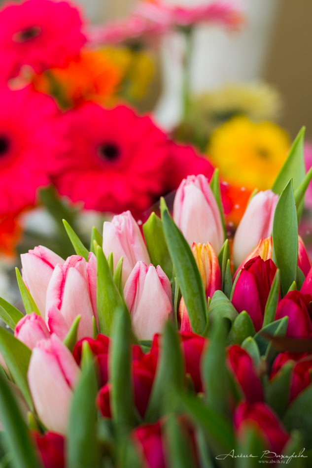 Интерьерная съёмка салона Цветочка. Фотограф Вихарева Алёна