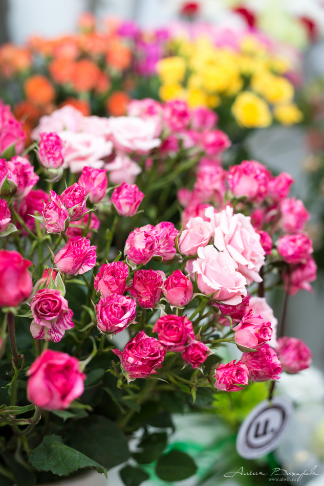 Интерьерная съёмка салона Цветочка. Фотограф Вихарева Алёна