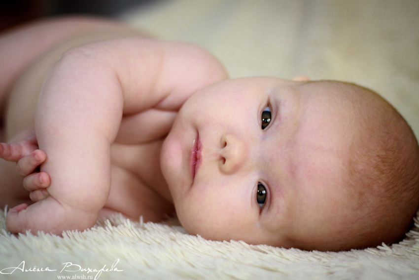 Алиса 3,5 месяца Алиса 3,5 месяца