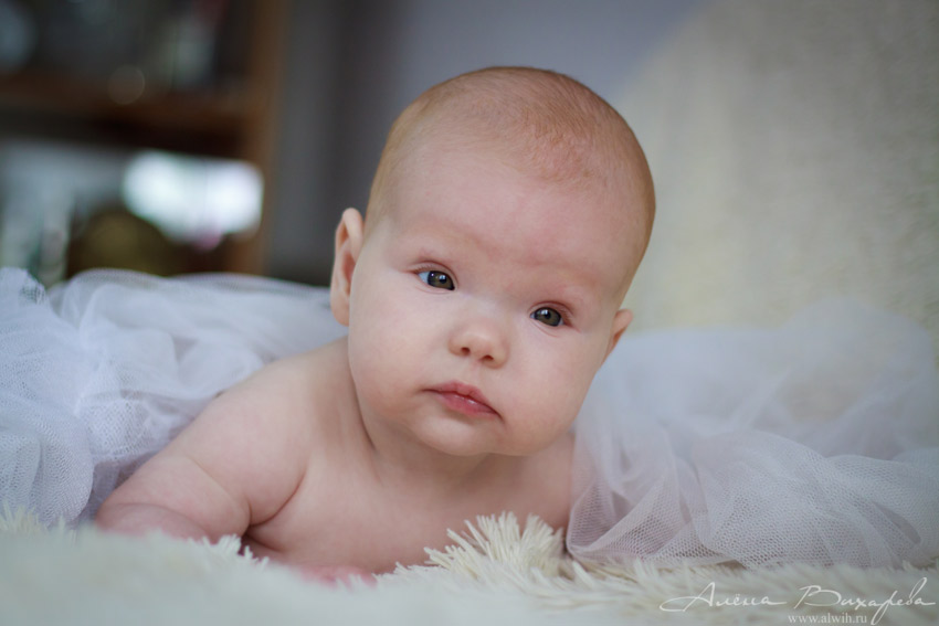 Алиса 3,5 месяца Алиса 3,5 месяца