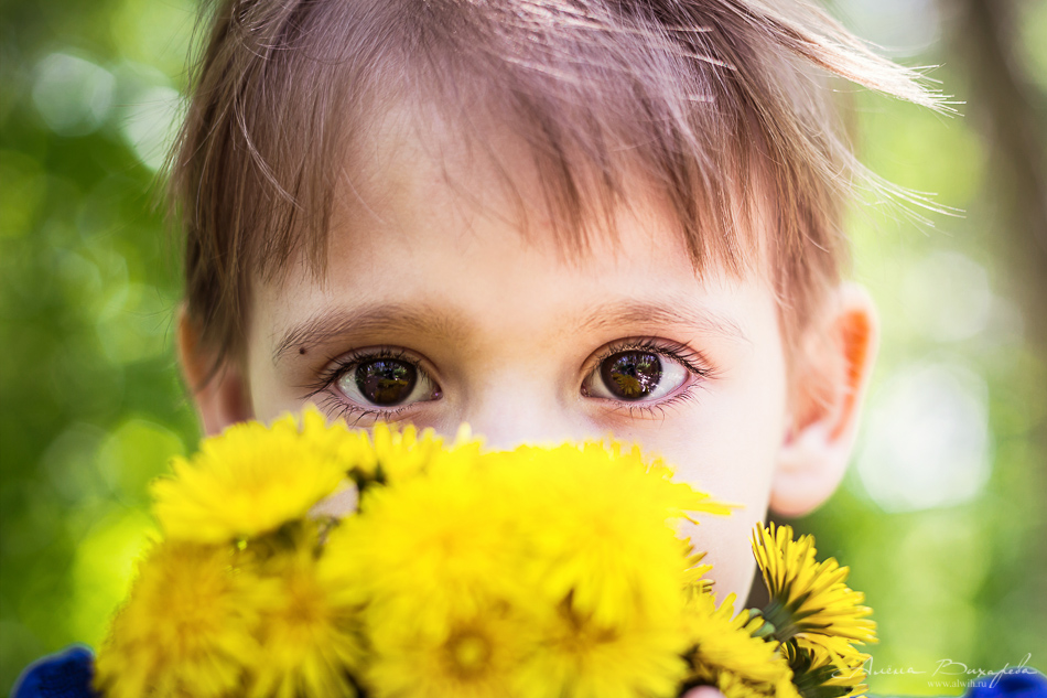 Семейная фотосессия на природе. Фотограф Вихарева Алена.