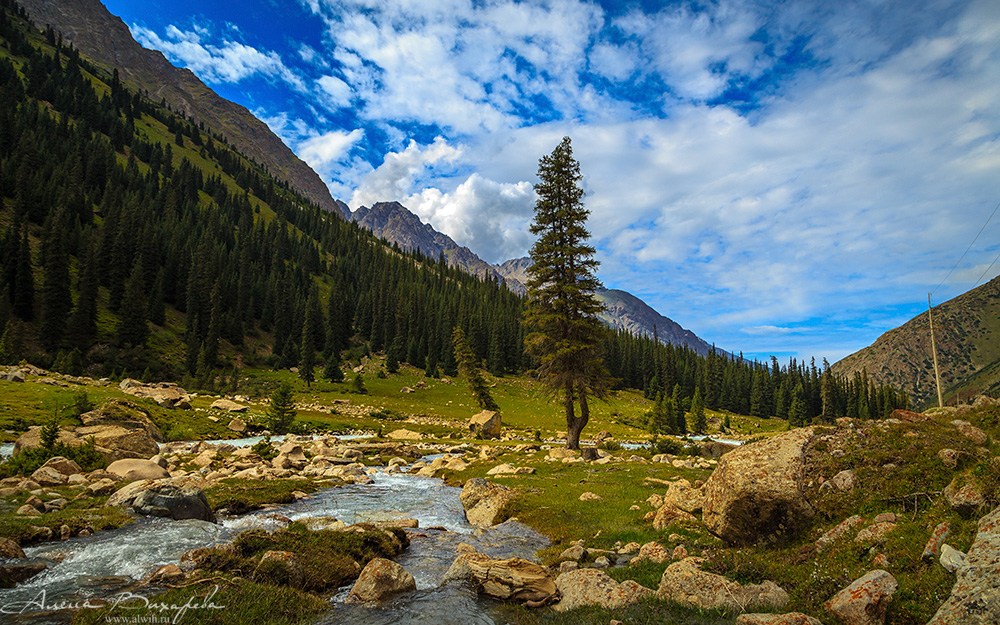 Долина Арабель, Кыргызстан, Иссык-кульская область
