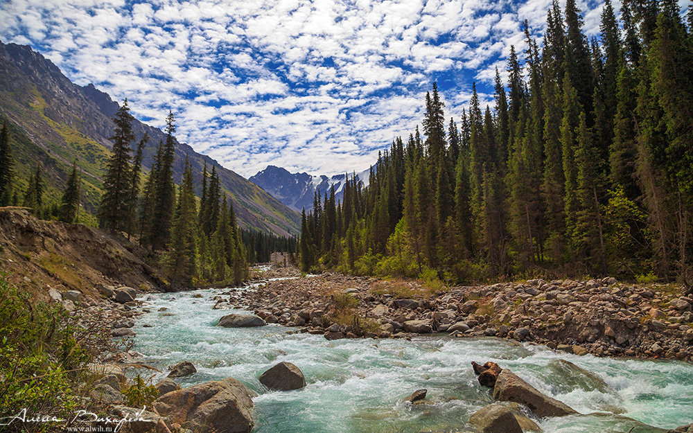 Ущелье Борскаун, Кыргызстан, Иссык-кульская область
