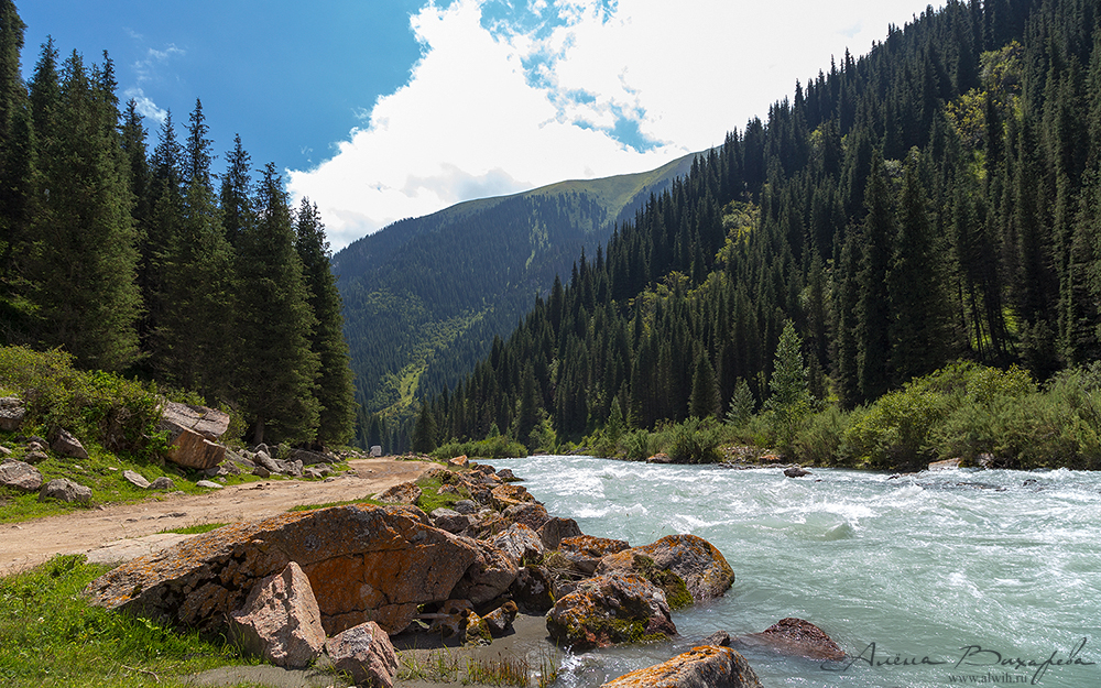 Григорьевское ущелье, Кыргызстан, Иссык-кульская область Григорьевское ущелье, Кыргызстан, Иссык-кульская область