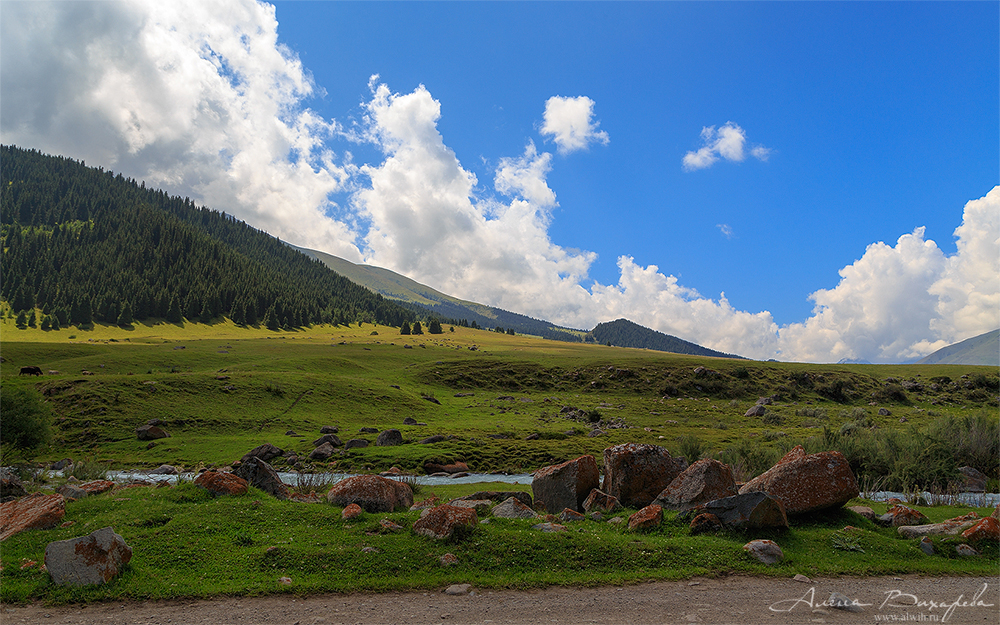 Григорьевское ущелье, Кыргызстан, Иссык-кульская область Григорьевское ущелье, Кыргызстан, Иссык-кульская область