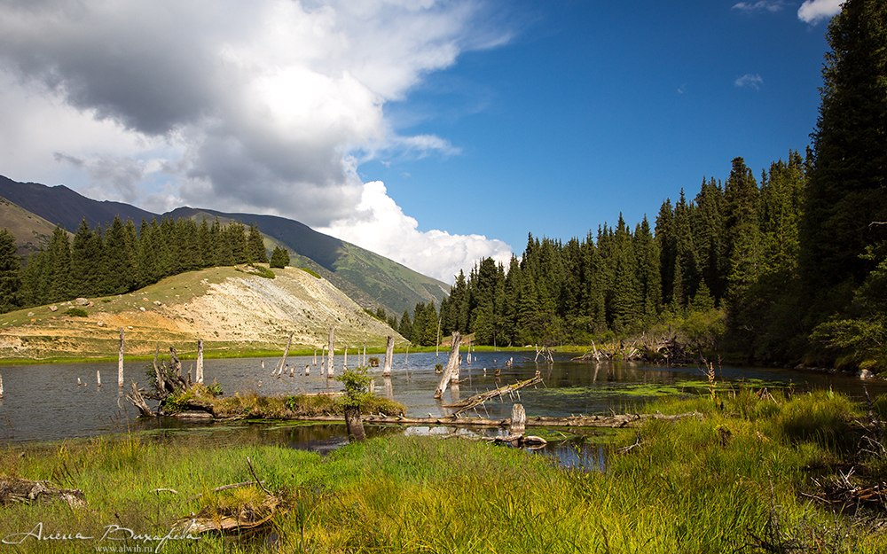 Григорьевское ущелье, Кыргызстан, Иссык-кульская область Григорьевское ущелье, Кыргызстан, Иссык-кульская область