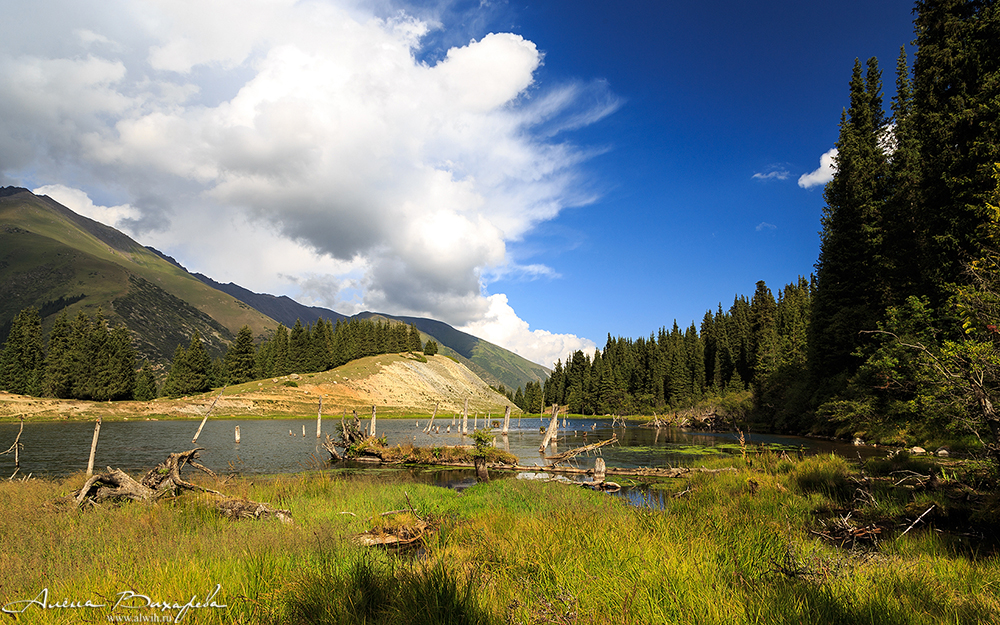 Григорьевское ущелье, Кыргызстан, Иссык-кульская область Григорьевское ущелье, Кыргызстан, Иссык-кульская область