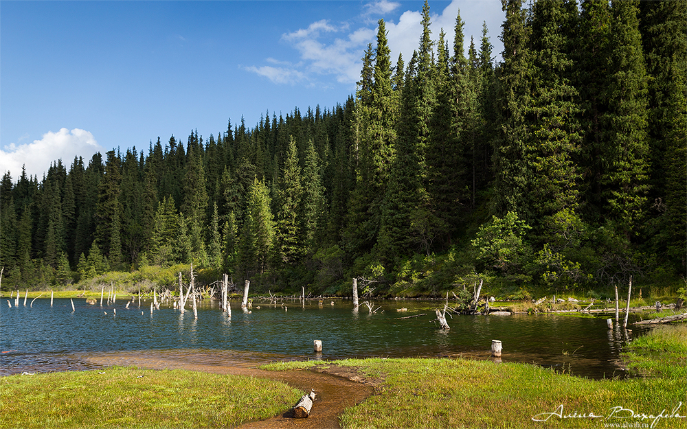 Григорьевское ущелье, Кыргызстан, Иссык-кульская область Григорьевское ущелье, Кыргызстан, Иссык-кульская область