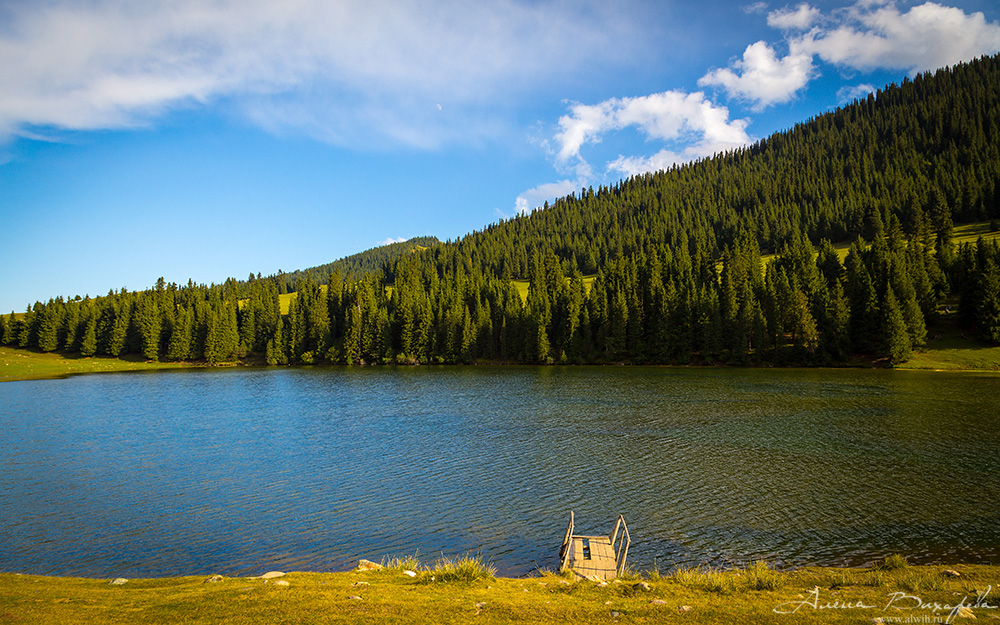 Григорьевское ущелье, Кыргызстан, Иссык-кульская область Григорьевское ущелье, Кыргызстан, Иссык-кульская область