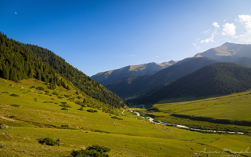 Григорьевское ущелье, Кыргызстан, Иссык-кульская область Григорьевское ущелье, Кыргызстан, Иссык-кульская область