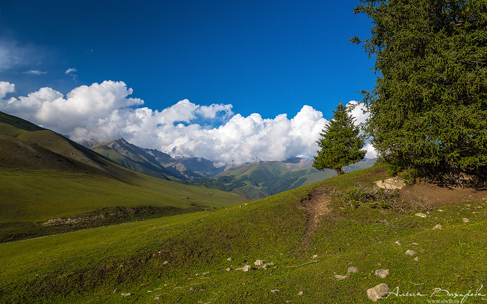 Григорьевское ущелье, Кыргызстан, Иссык-кульская область Григорьевское ущелье, Кыргызстан, Иссык-кульская область