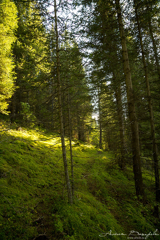 Григорьевское ущелье, Кыргызстан, Иссык-кульская область Григорьевское ущелье, Кыргызстан, Иссык-кульская область
