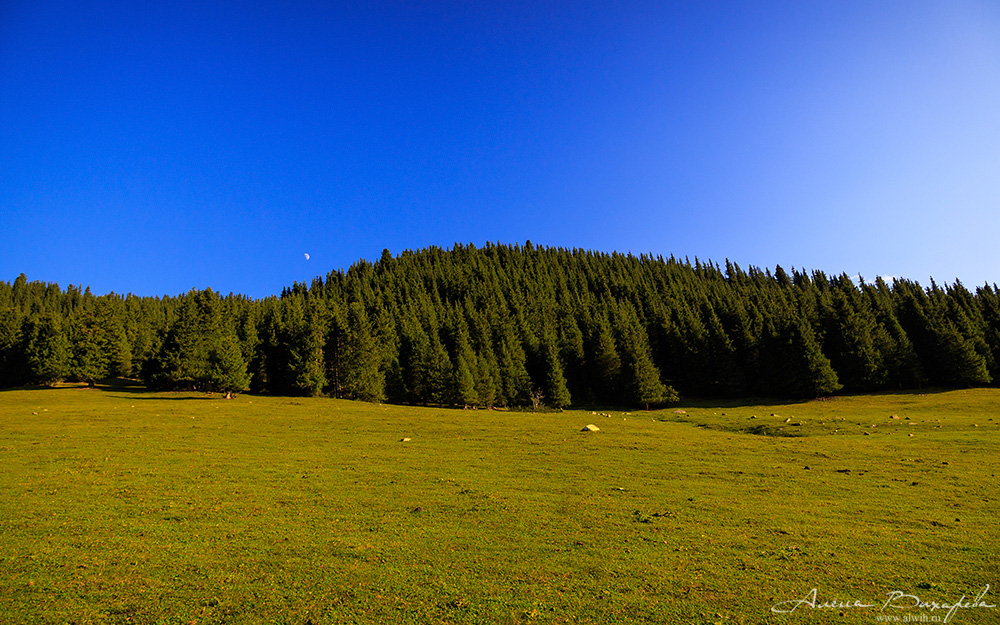 Григорьевское ущелье, Кыргызстан, Иссык-кульская область Григорьевское ущелье, Кыргызстан, Иссык-кульская область