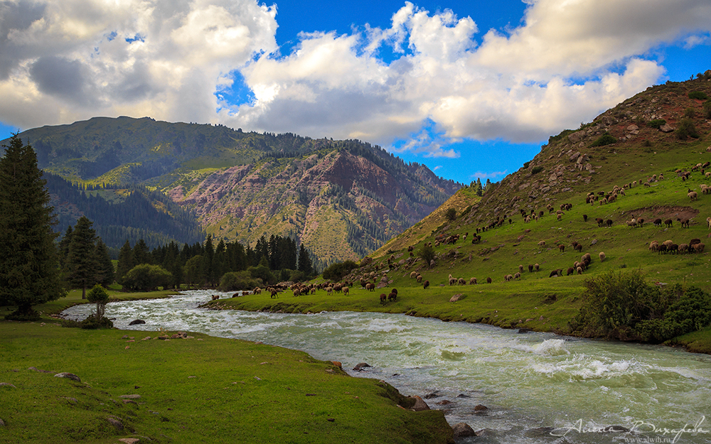 Ущелье Жети-Огуз, Кыргызстан, Иссык-кульская область Ущелье Жети-Огуз, Кыргызстан, Иссык-кульская область