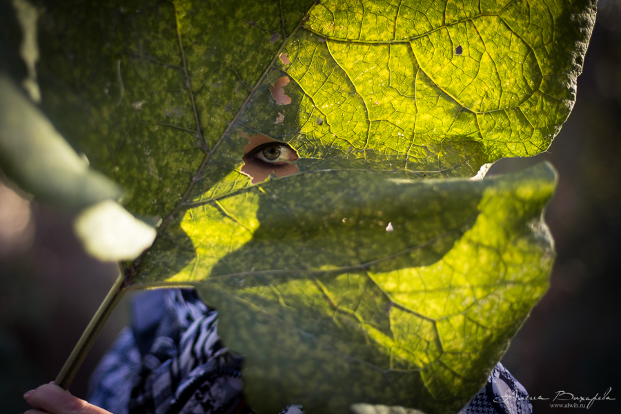 Семейная фотосессия на природе