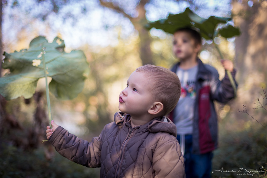 Семейная фотосессия на природе