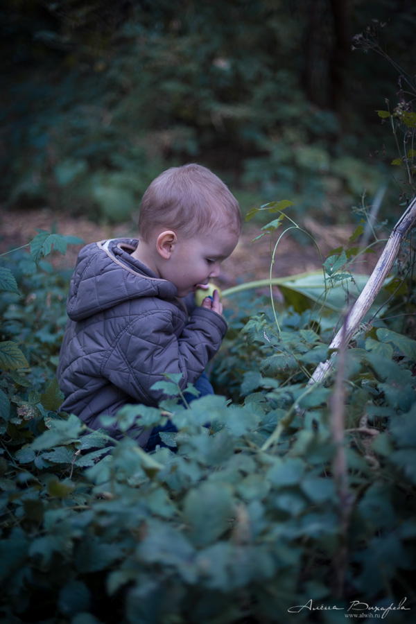 Семейная фотосессия на природе