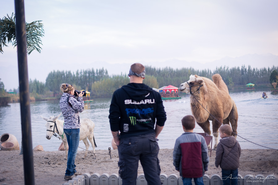 Семейная фотосессия на природе