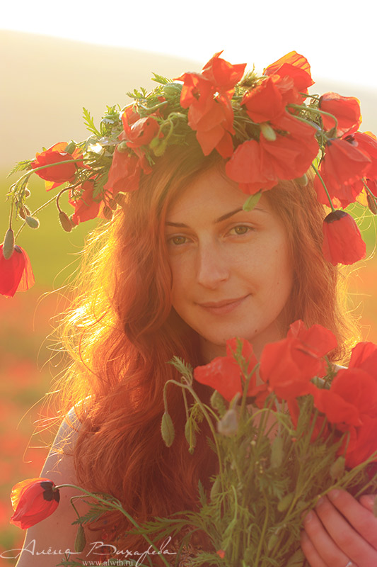 Портрет в маках Портрет в маках
