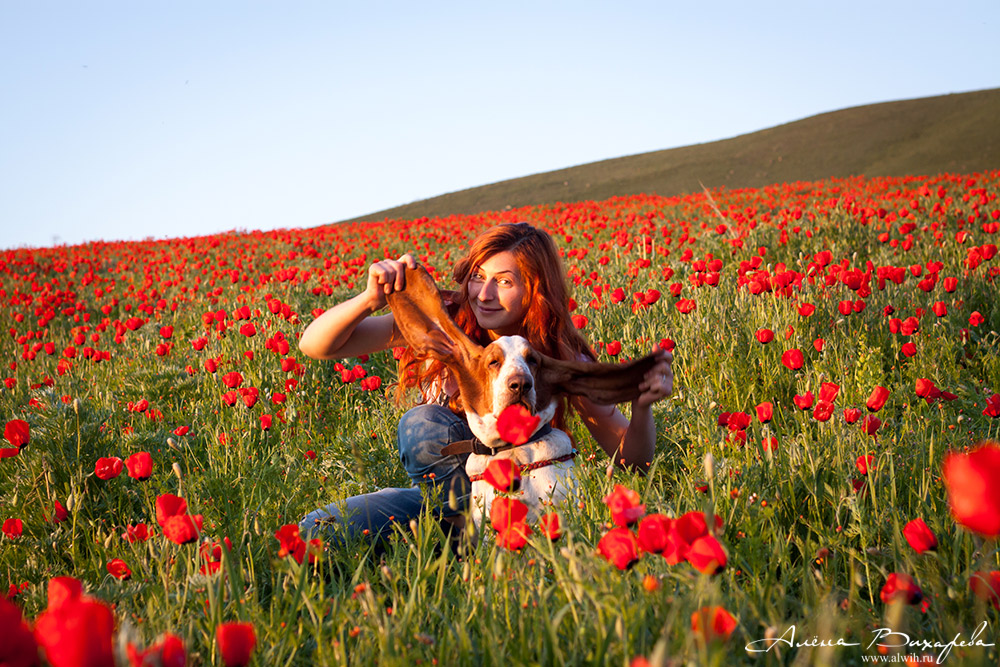 В маках В маках