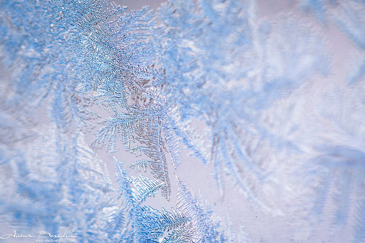Морозные узоры на стекле