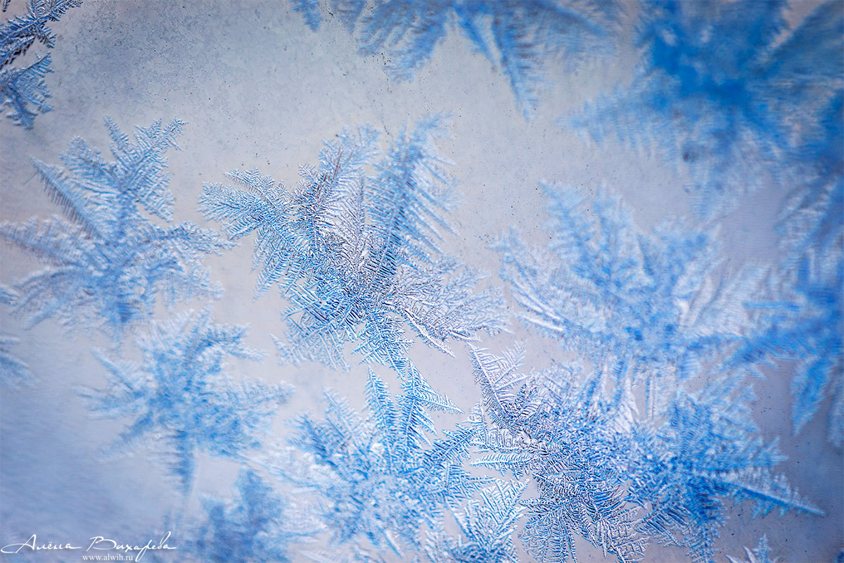Морозные узоры на стекле