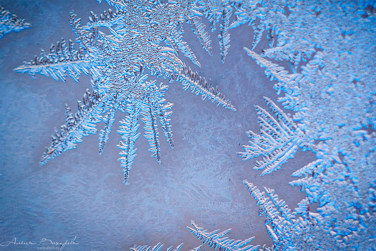 Морозные узоры на стекле