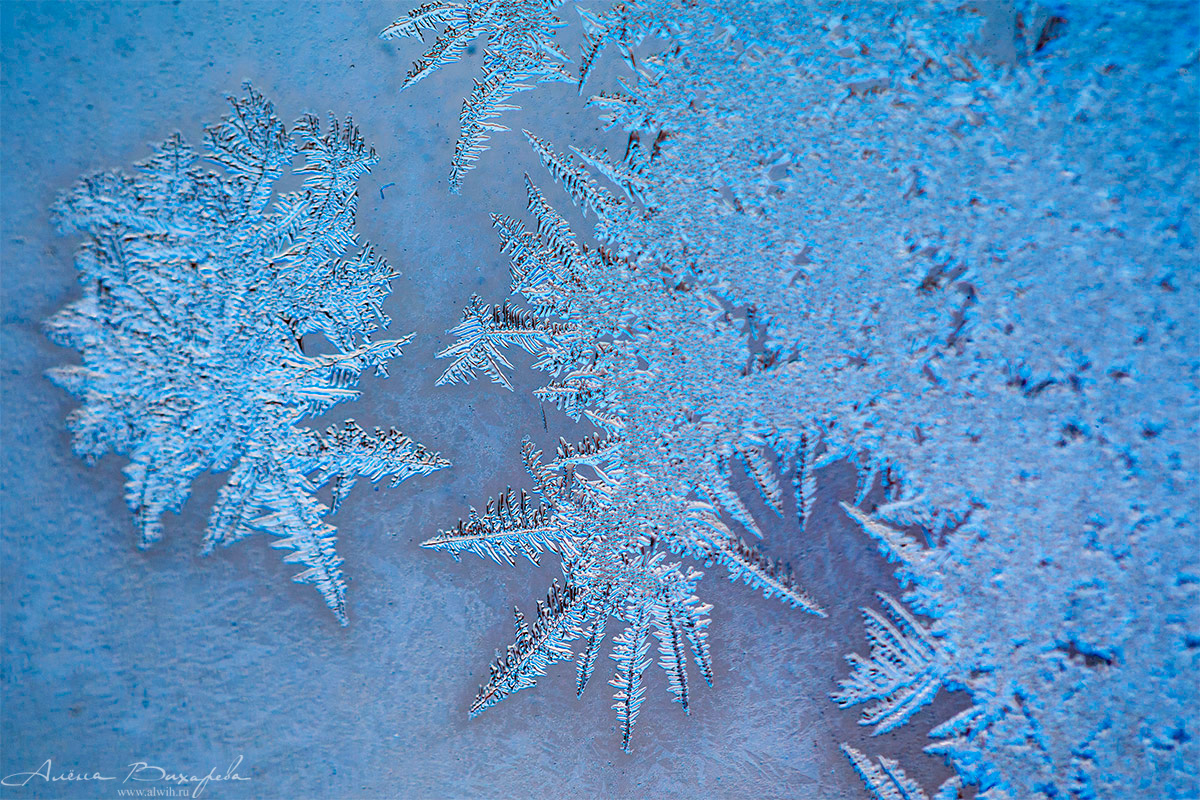 Морозные узоры на стекле