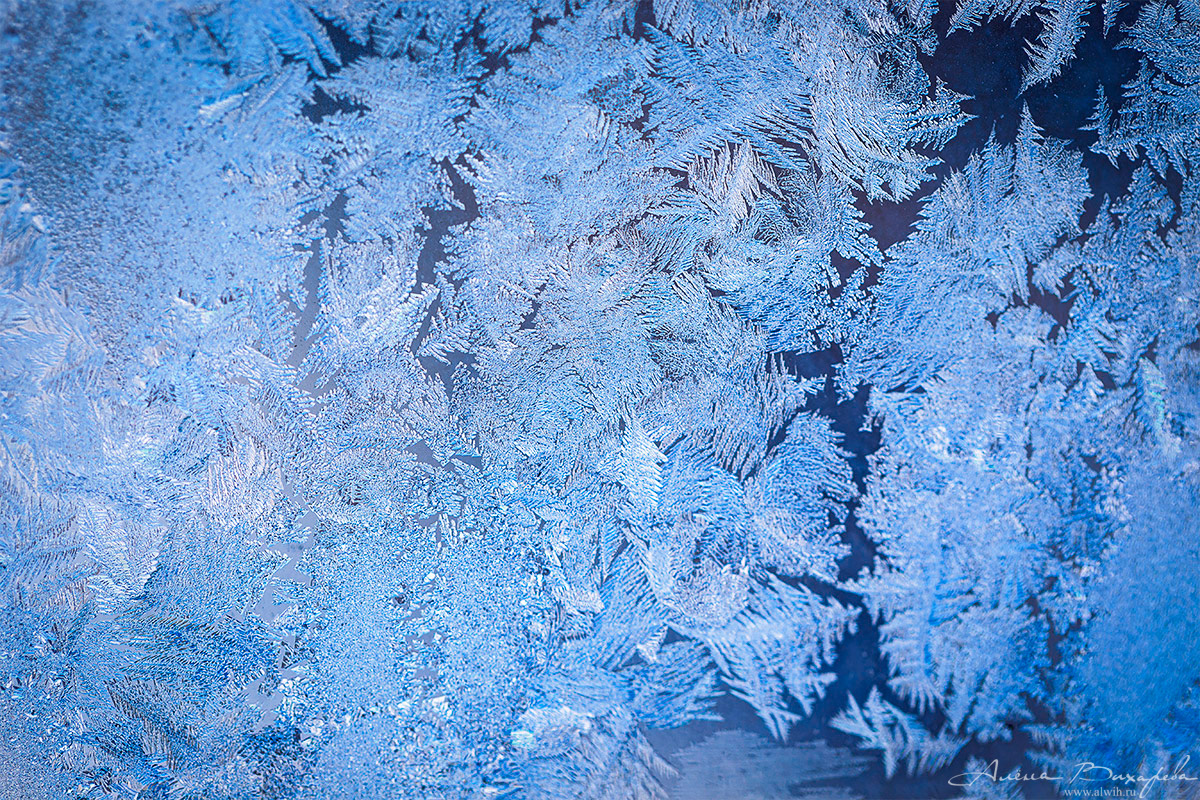 Морозные узоры на стекле
