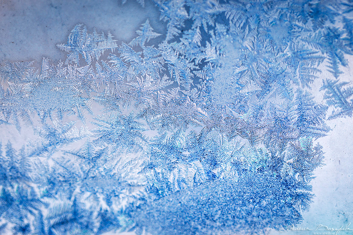 Морозные узоры на стекле