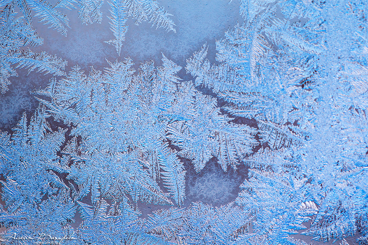 Морозные узоры на стекле