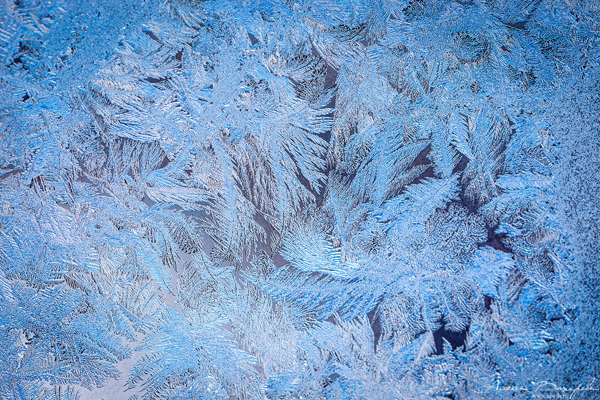 Морозные узоры на стекле