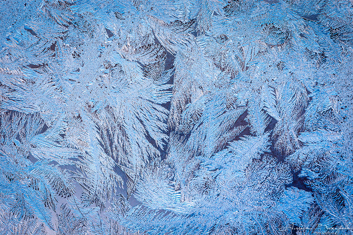 Морозные узоры на стекле