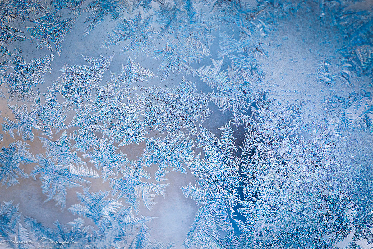 Морозные узоры на стекле