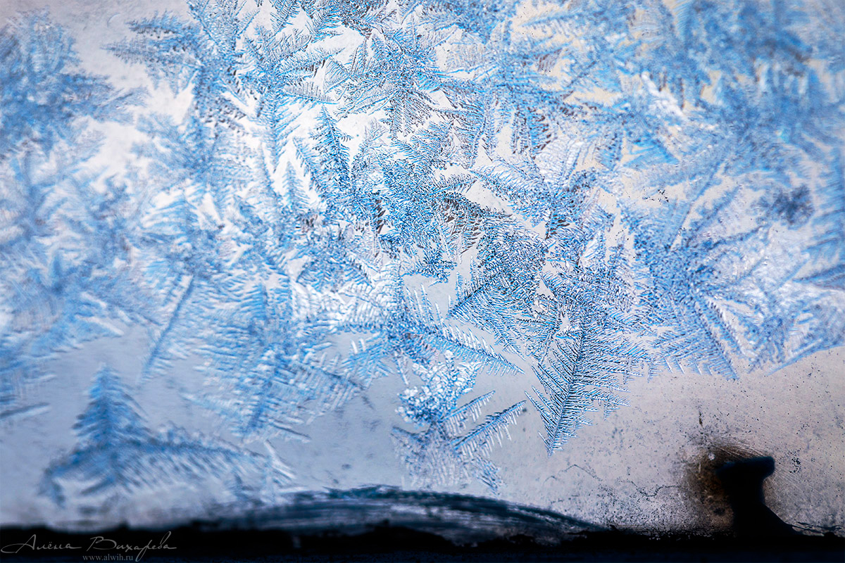 Морозные узоры на стекле