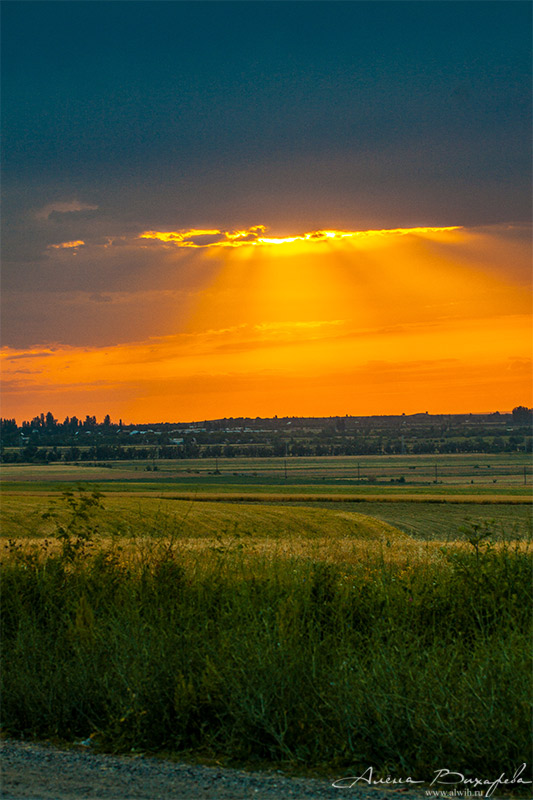Летний фотосет