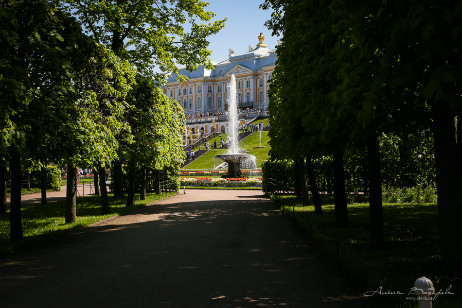 Прогулки по Питеру. Фотограф Вихарева Алена Прогулки по Питеру. Фотограф Вихарева Алена