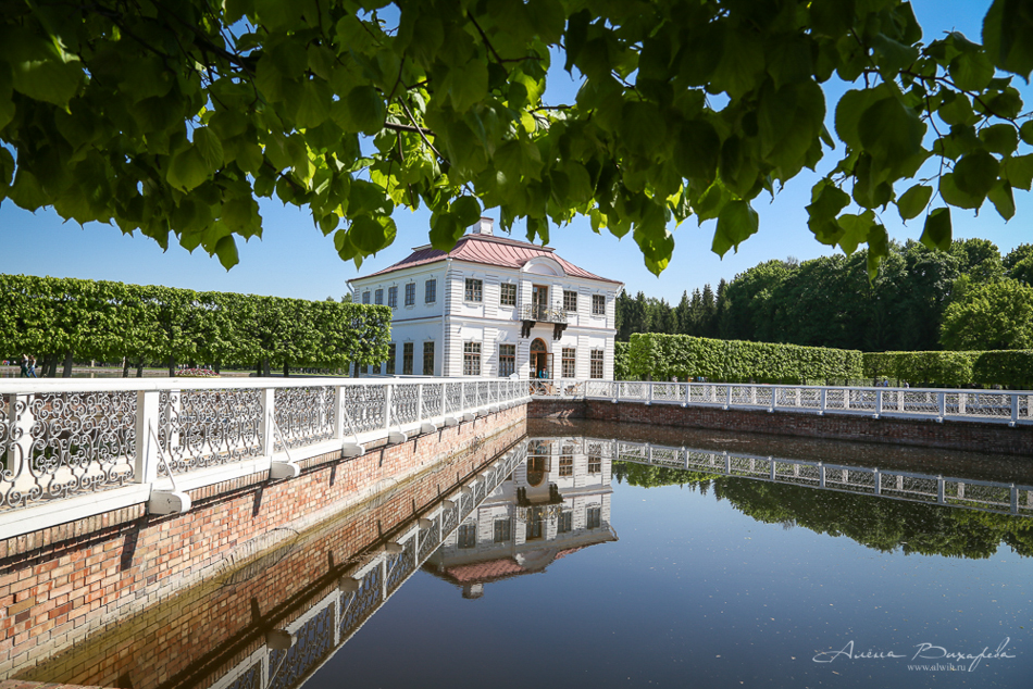 Прогулки по Питеру. Фотограф Вихарева Алена Прогулки по Питеру. Фотограф Вихарева Алена
