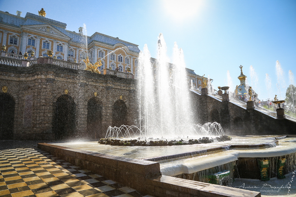 Прогулки по Питеру. Фотограф Вихарева Алена Прогулки по Питеру. Фотограф Вихарева Алена