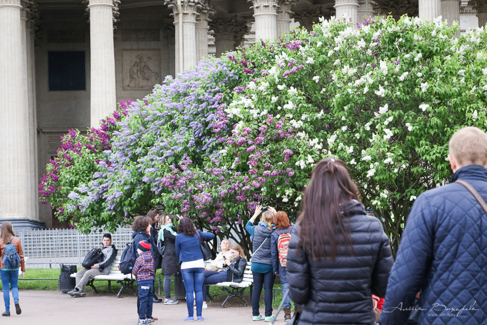 Прогулки по Питеру. Фотограф Вихарева Алена Прогулки по Питеру. Фотограф Вихарева Алена