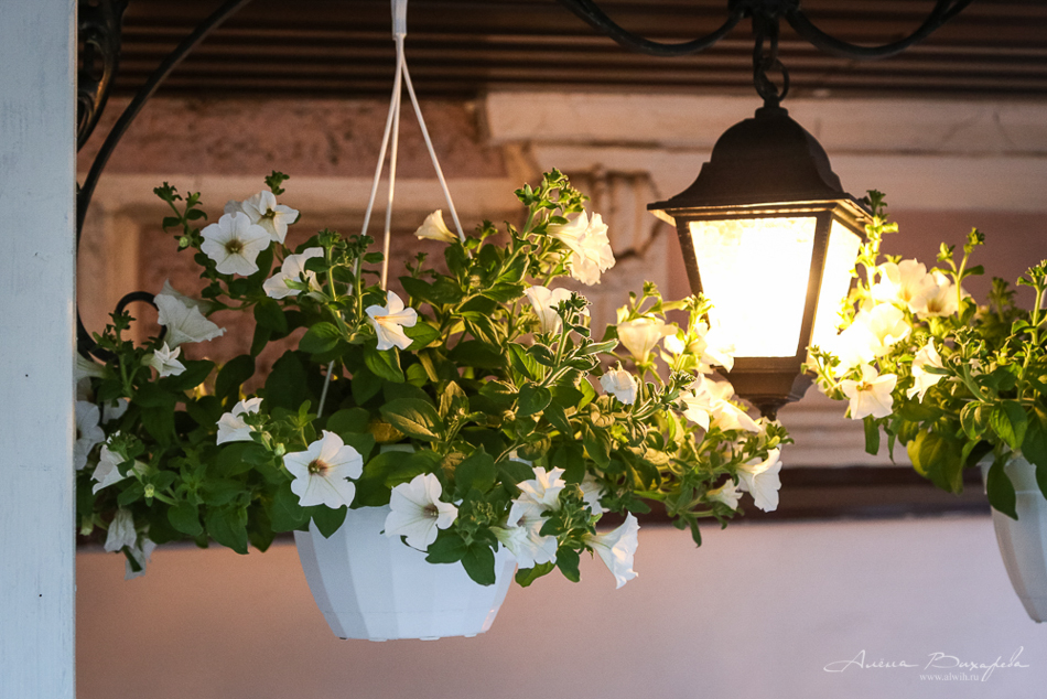 Прогулки по Питеру. Фотограф Вихарева Алена Прогулки по Питеру. Фотограф Вихарева Алена