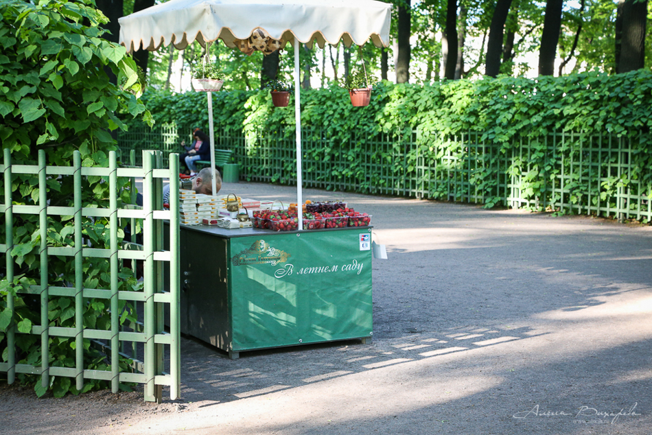 Прогулки по Питеру. Фотограф Вихарева Алена Прогулки по Питеру. Фотограф Вихарева Алена