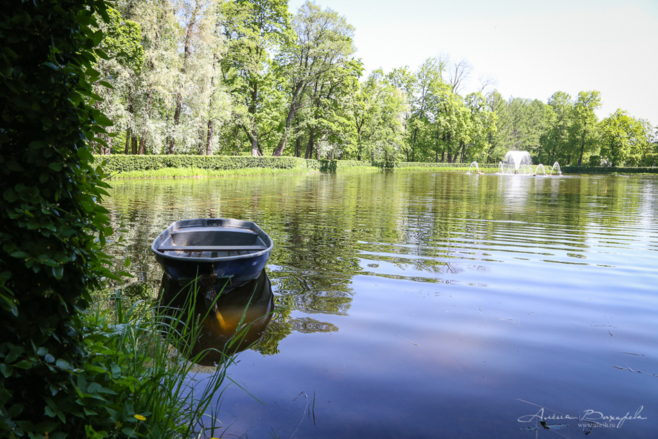 Прогулки по Питеру. Фотограф Вихарева Алена Прогулки по Питеру. Фотограф Вихарева Алена