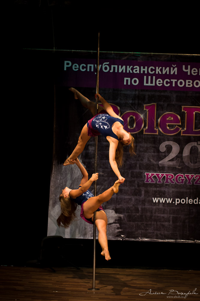 Чемпионат по шестовой акробатике