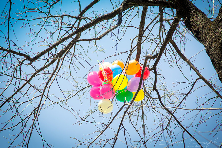 Фотосессия выписки из роддома. Фотограф Вихарева Алена