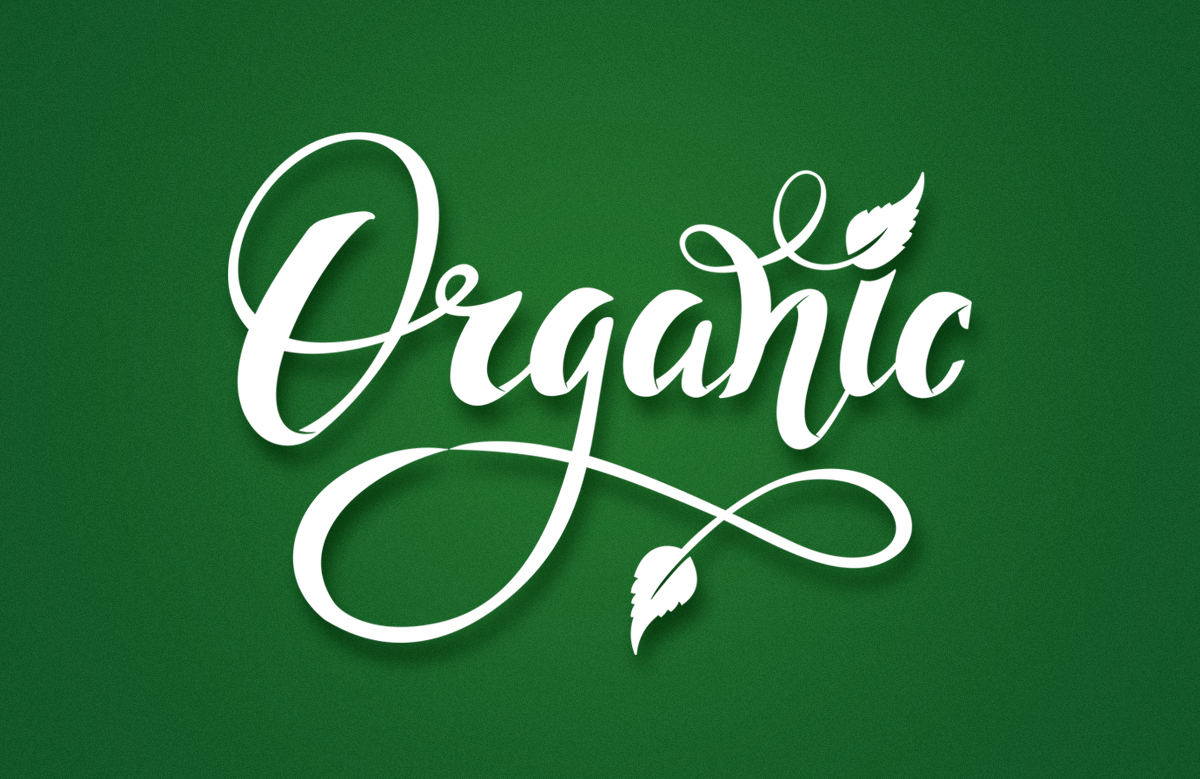  Разработка дизайна логотипа для производителя снековой продукции Organic